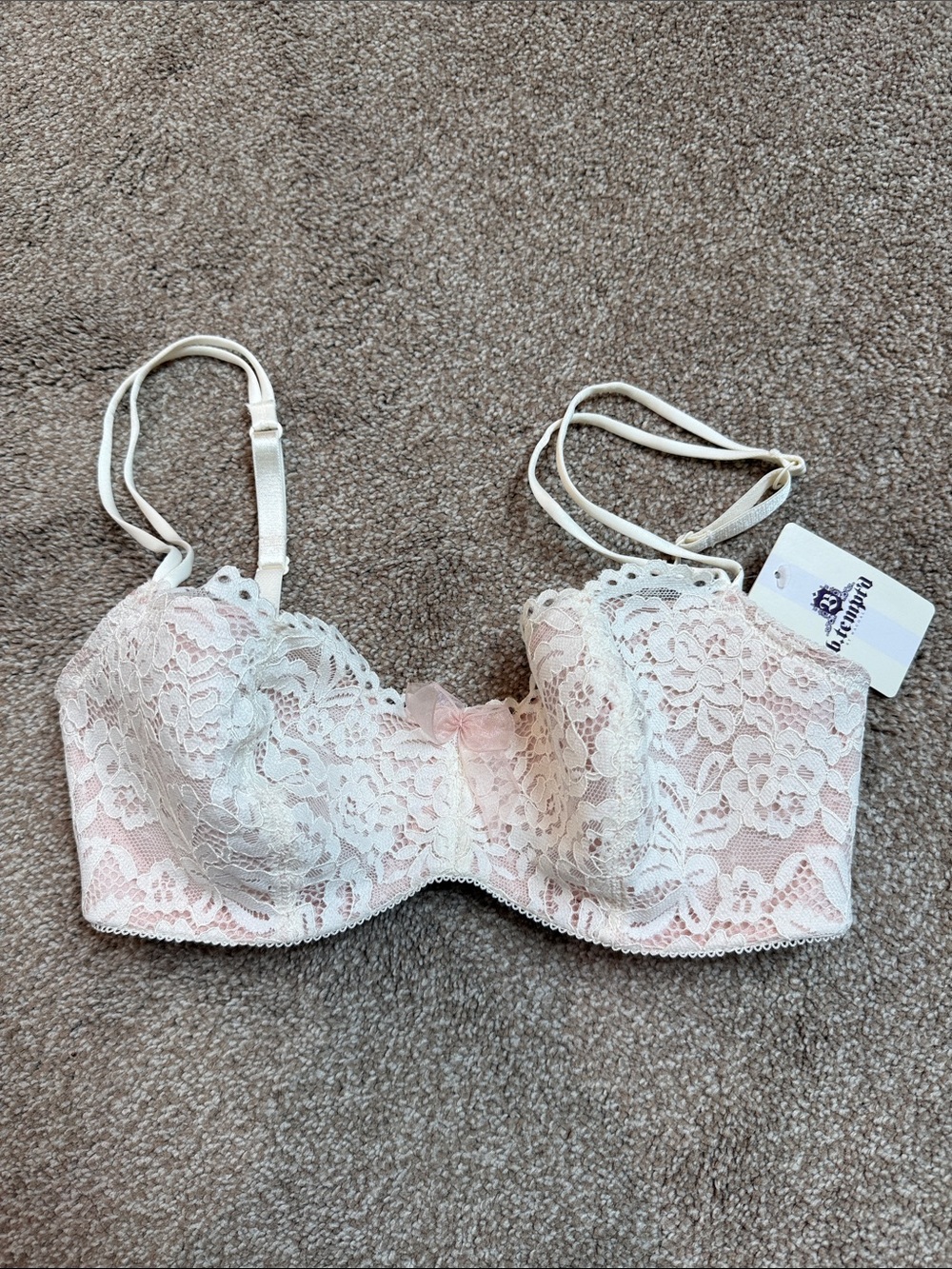 Lace Overlay Underwire Bra in Blush and White - Feminine Support